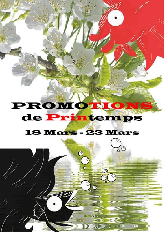 Semaine 11 - Promotions de Printemps